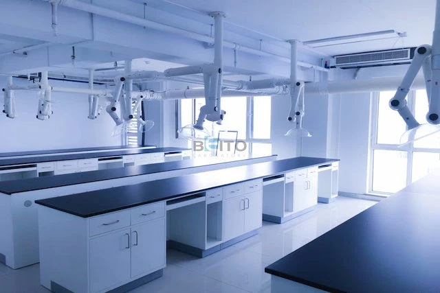 Standard Lab Bench Height